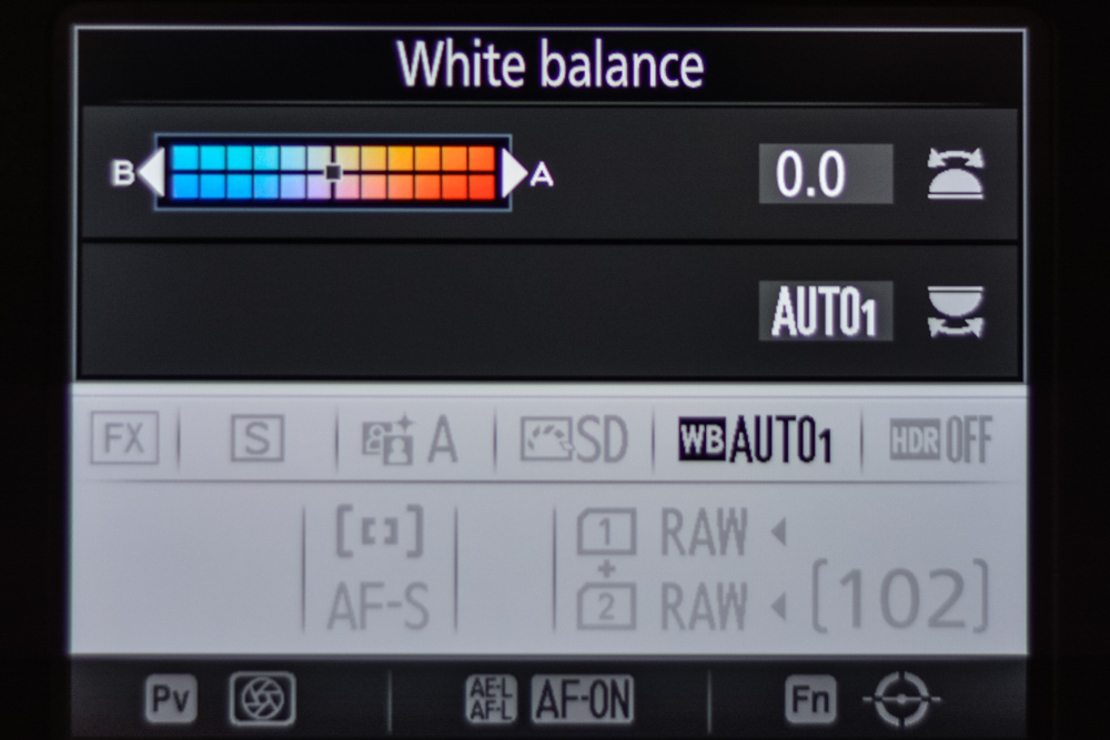 darktable auto white balance